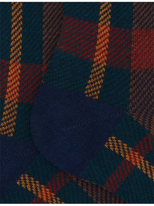 AP51644512779 FANTASIA gallo | AP51644512779 FANTASIA